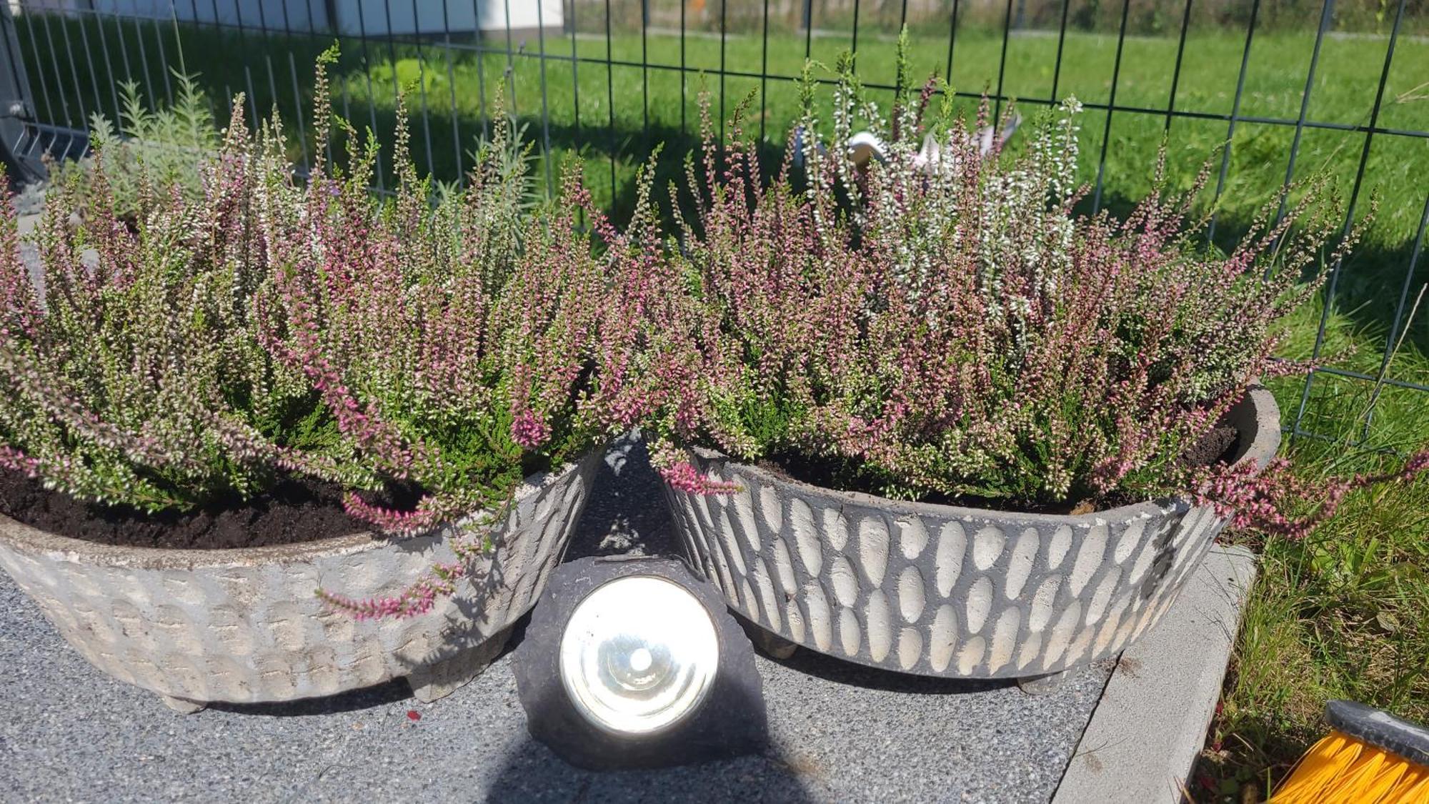 Apartament Nina Jelenia Gora Bagian luar foto